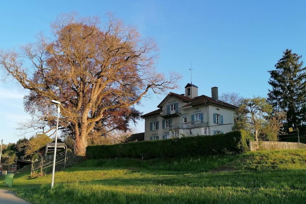 Seesicht Und Charmante Wohnung Bei Hanni Und Ueli Bottighofen Kültér fotó